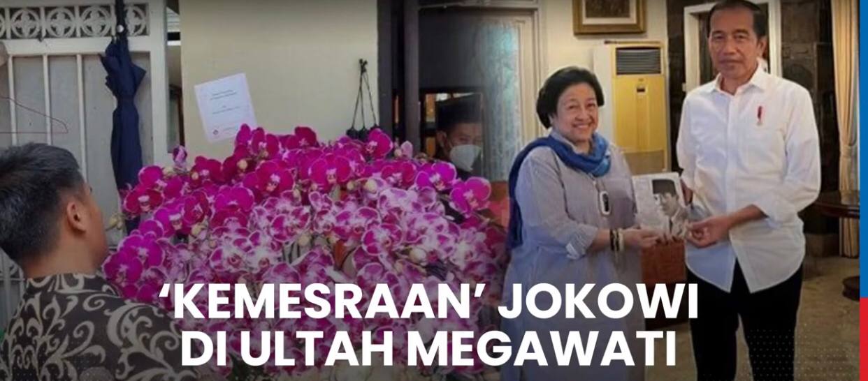 Jokowi Kirim Bunga Anggrek Bulan untuk Ketum PDIP Megawati, Begini Isi Pesannya