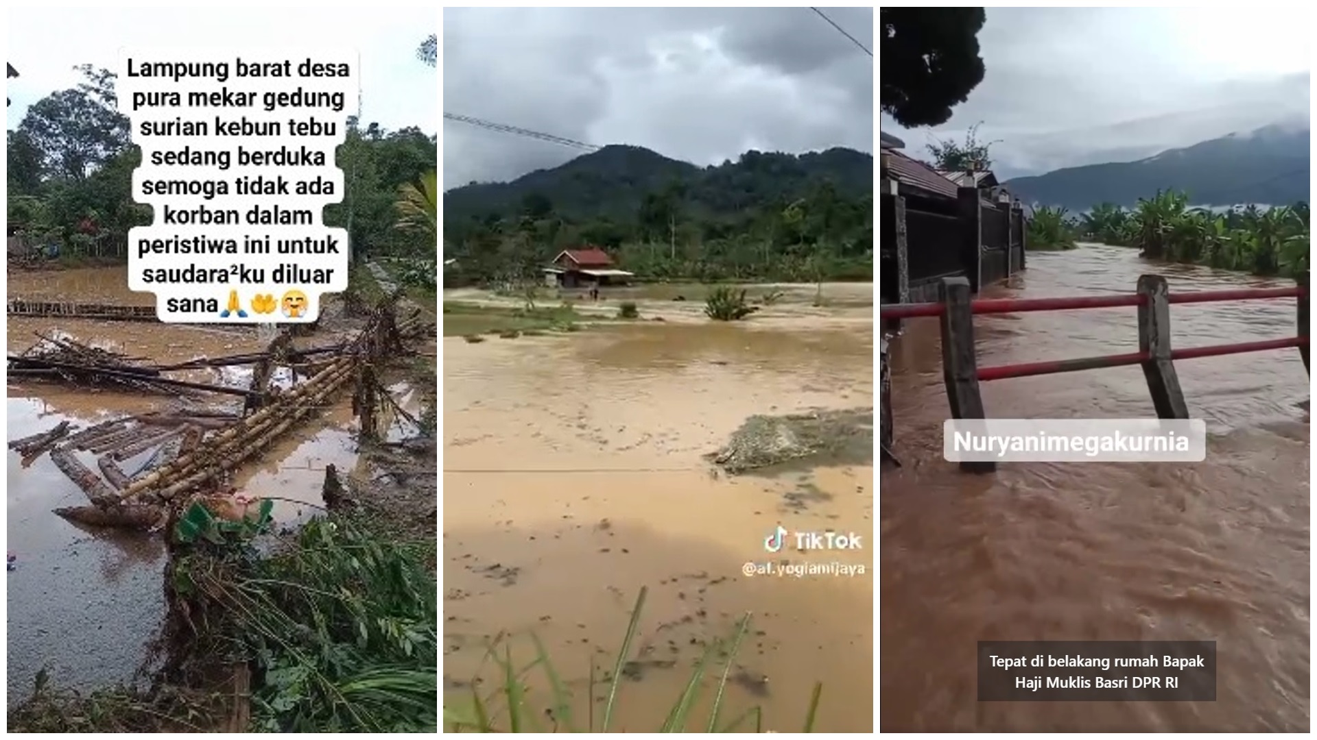 Cuaca Ekstrem di Lampung Barat: Banjir dan Tanah Longsor Terjang 4 Kecamatan