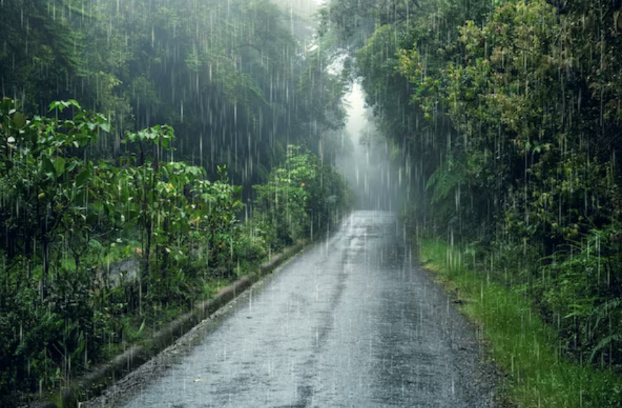 Prakiraan Cuaca Hari Ini Minggu 16 Juni 2024, Sebagian Wilayah di Indonesia Akan Diguyur Hujan 