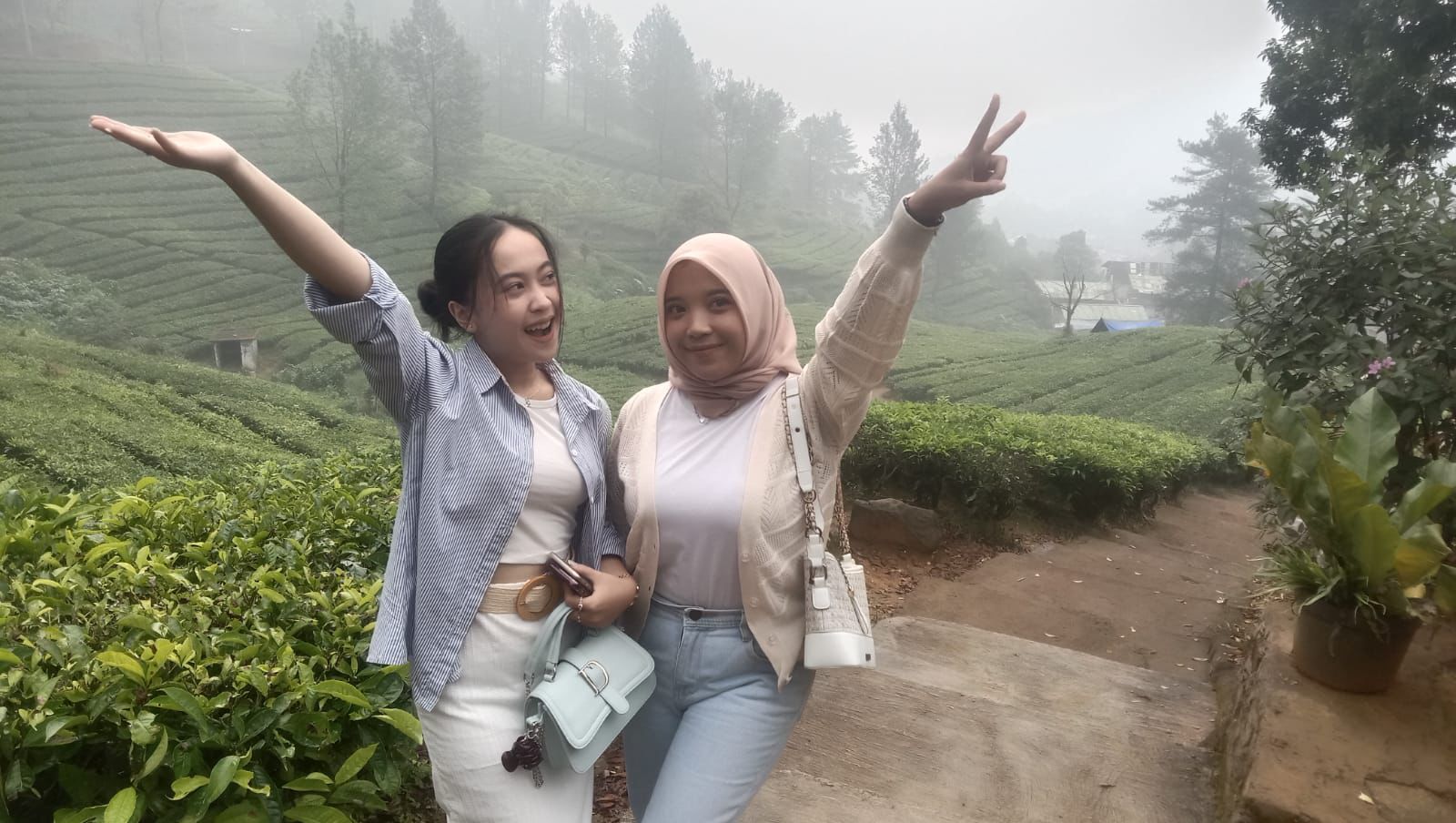 Murah dan Instagramable, Agro Wisata Gunung Mas Puncak Bogor Cocok Untuk Berlibur