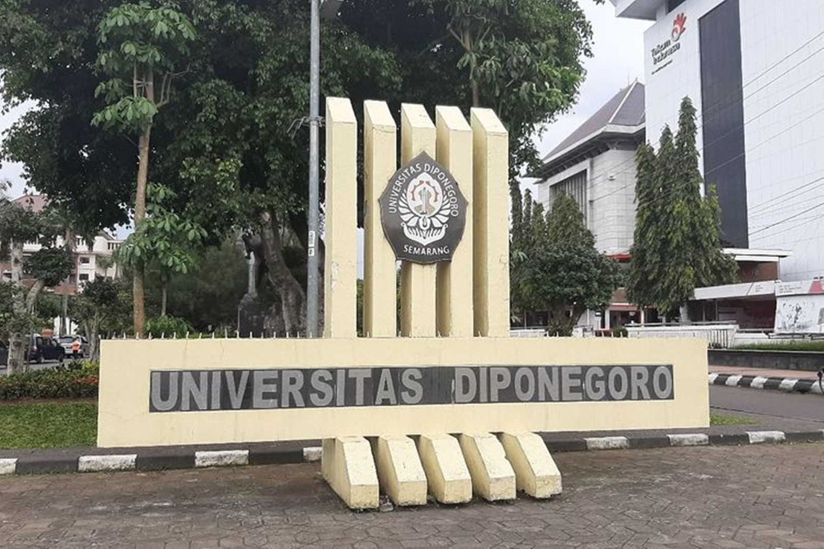Catat! Ini Syarat Rata-rata Nilai Rapor untuk Lulus SNBP 2024 Universitas Diponegoro