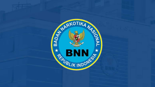 BNN Berhasil Tangkap 2 kurir, Barang Bukti Seberat 200 Kilo Ganja Dimusnakan dari Lahan 4 Hektar di Aceh