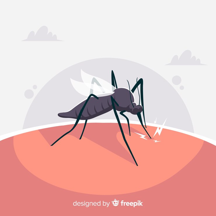 Waspada! Penyakit Demam Berdarah Dengue Kembali Merebak di Indonesia, Begini Cara Mencegahnya