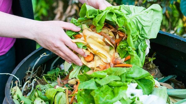 5 Cara Sederhana dan Efisien untuk Mengurangi Limbah Makanan 