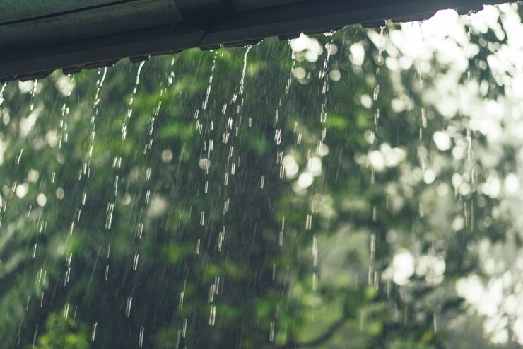 Prakiraan Cuaca Provinsi Lampung 30 Juni 2024, Sebagian Besar Wilayah Hujan Ringan hingga Hujan Petir