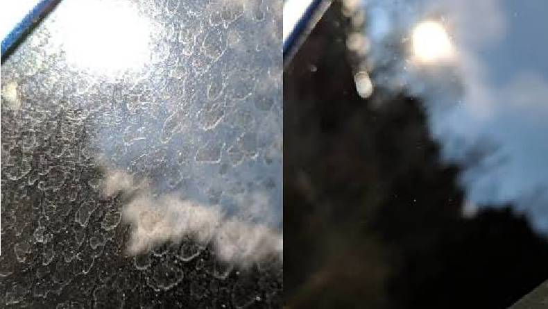 Wajib Tahu! Penyebab dan Cara Menghilangkan Jamur di Kaca Mobil Tanpa ke Bengkel