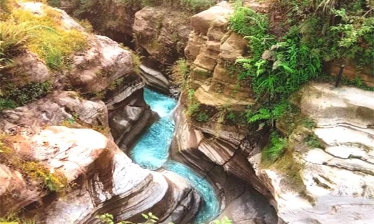 5 Rekomendasi Lokasi Wisata Alam di Bogor yang Cocok untuk Melepas Penat 