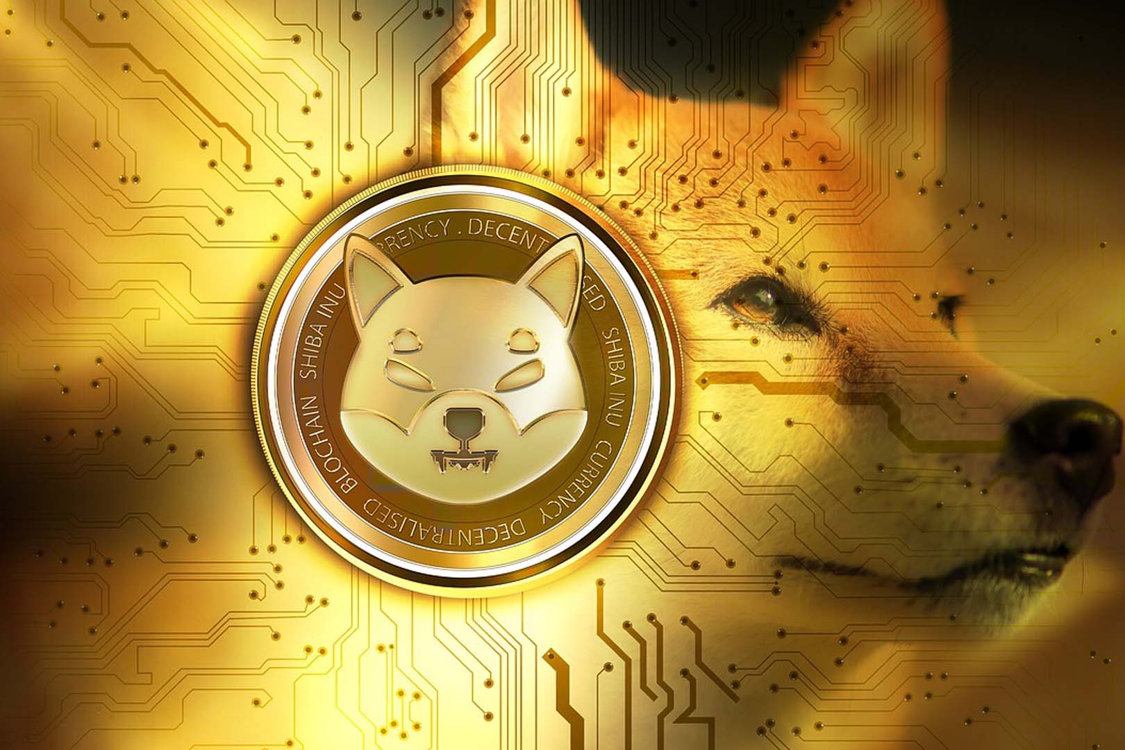 Shiba Inu Coin: Fenomena Terbaru dalam Dunia Cryptocurrency