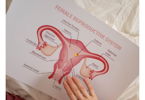 Kenali Gaya Hidup yang Bisa Mengancam Kesehatan Reproduksi, Capai Kualitas Optimal 