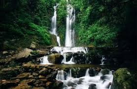 3 Destinasi Air Terjun di Bogor yang Populer, Miliki Pemandangan Mempesona 