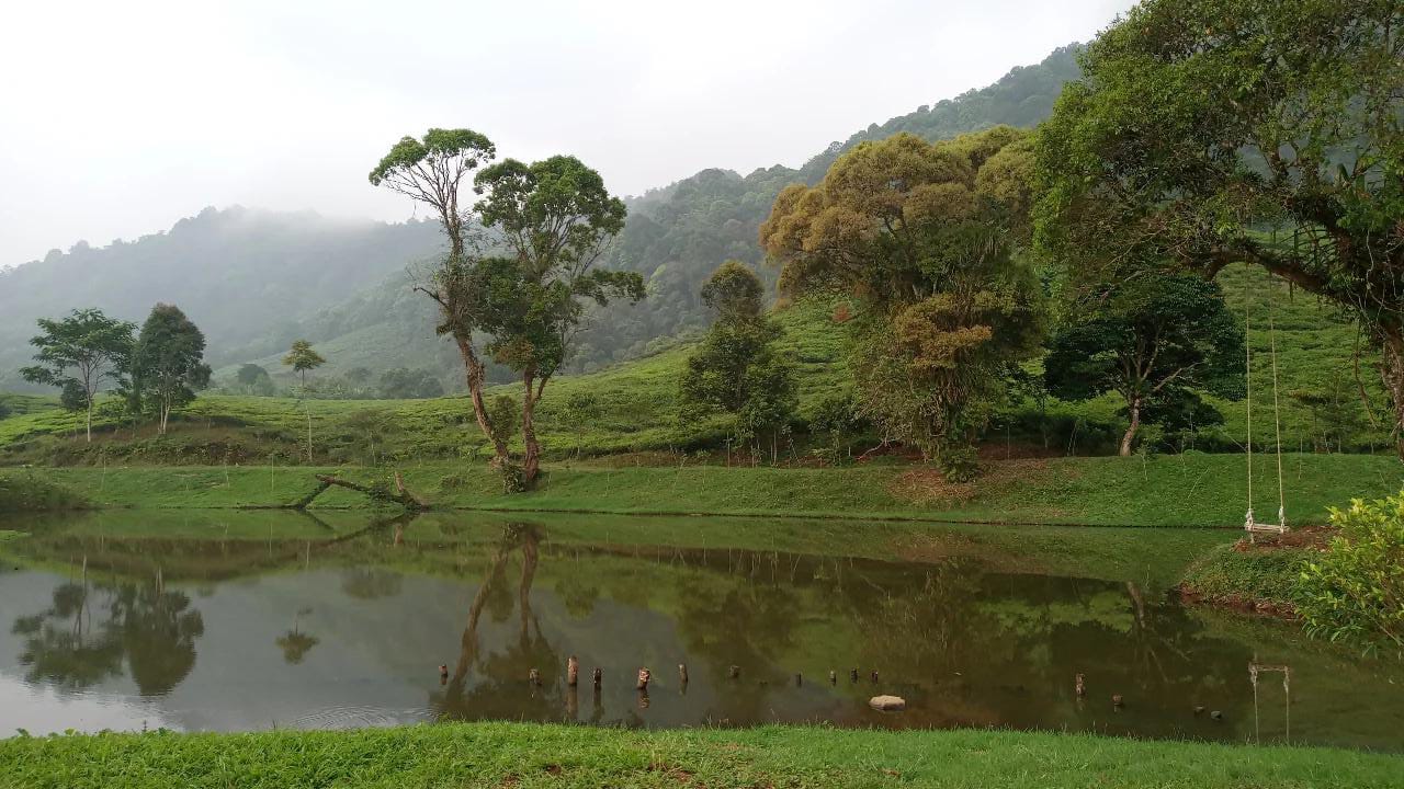 Menikmati Keindahan Alam: 8 Danau di Bogor yang Ideal untuk Piknik