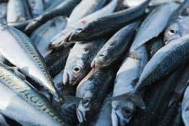 Update Harga Bahan Pokok 25 Mei 2024: Ikan Kembung dan Bawang Putih Melonjak Tajam