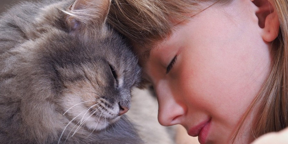 10 Tanda Kucing Mencintai Anda, Perhatikan Gerak-Geriknya