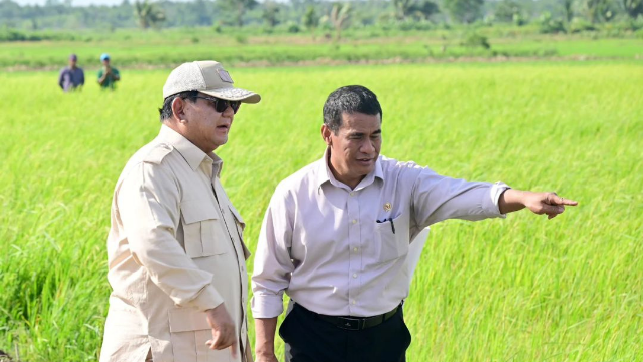 Presiden Prabowo Kunjungi Lahan Pertanian di Merauke, Percepat Swasembada Pangan