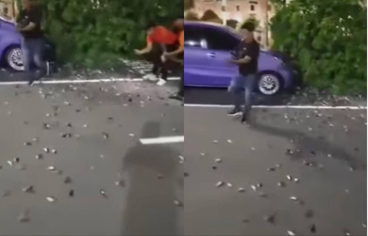 Heboh! Ratusan Burung Pipit Mati Massal di Bandara Ngurah Rai Bali, Ini Penyebabnya