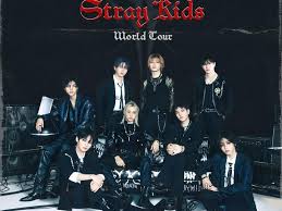 Belum Punya Tiket buat Nonton Tur  Stray Kids World Tour, Gak Usah Panik Ini Cara Mendapatkannya