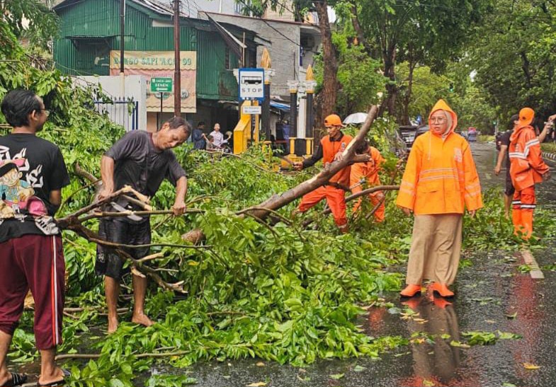 Jadi Korban Pohon Tumbang di Jakarta, Segini Jumlah Santunan yang Bakal Diterima