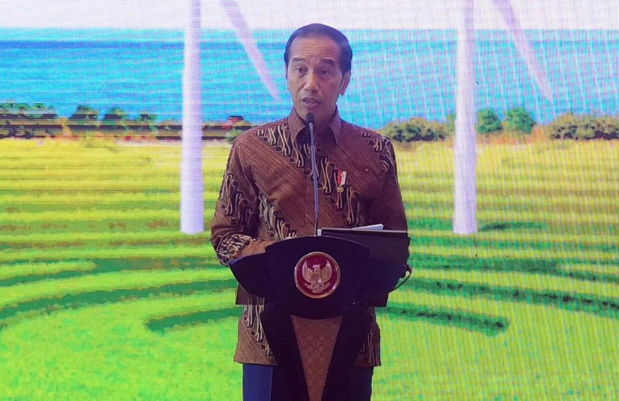 Presiden Jokowi Tak Ambil Pusing Soal Gambar Wajahnya yang Aneh Sering Dijadikan Kritik Melalui Media