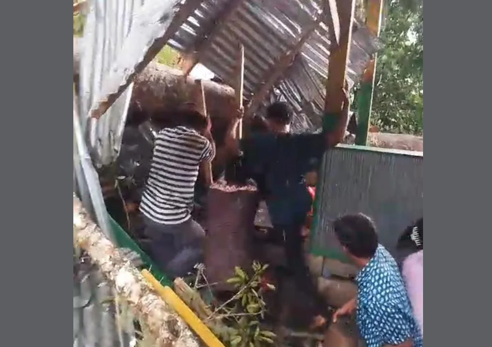 Tragis! Video 9 Orang Tewas Tertimpa Pohon Tumbang di Lokasi Wisata Soppeng