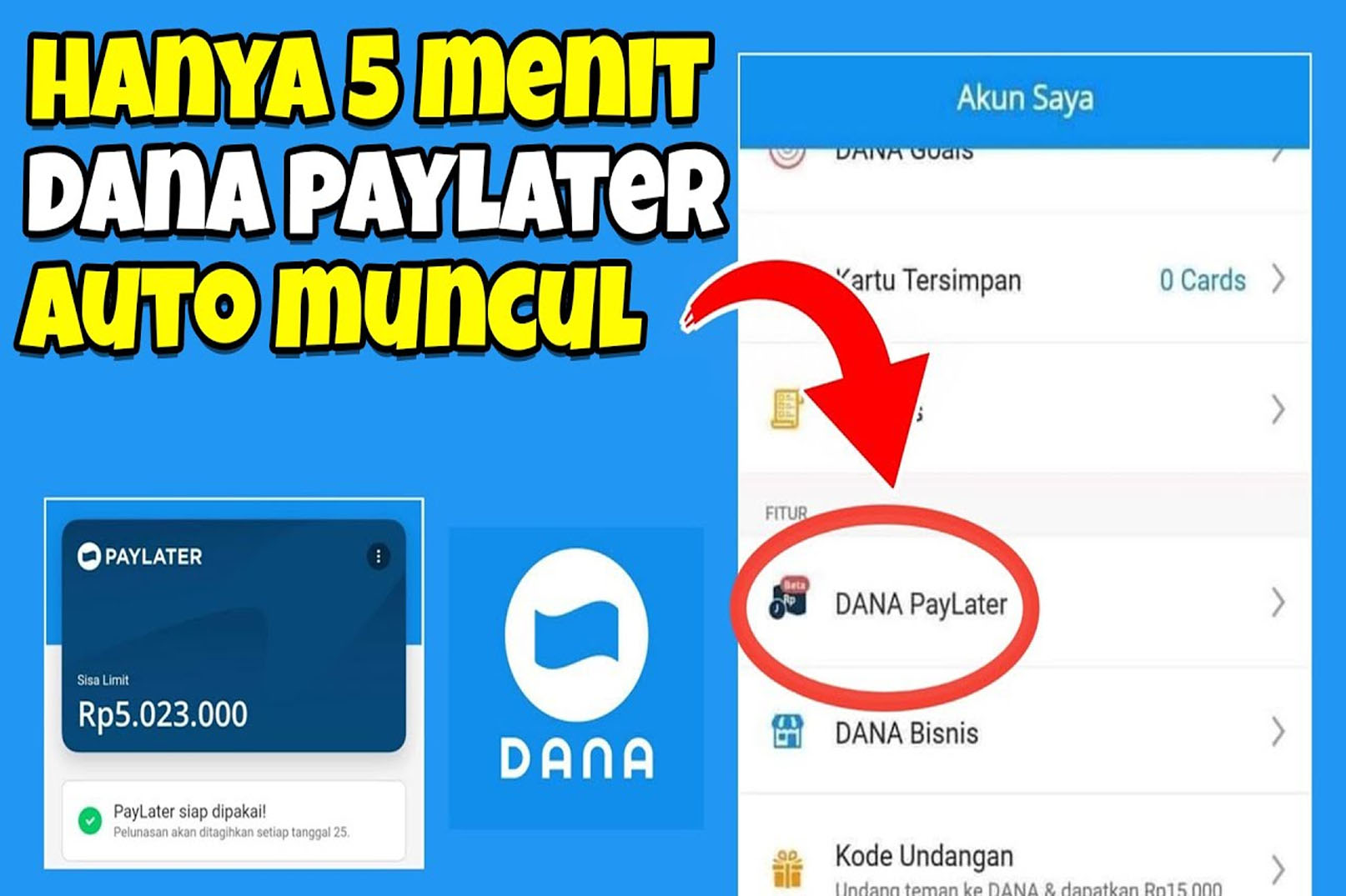 Langsung Cair Pinjaman Uang di DANA Paylater, Rp10 Juta Auto Masuk