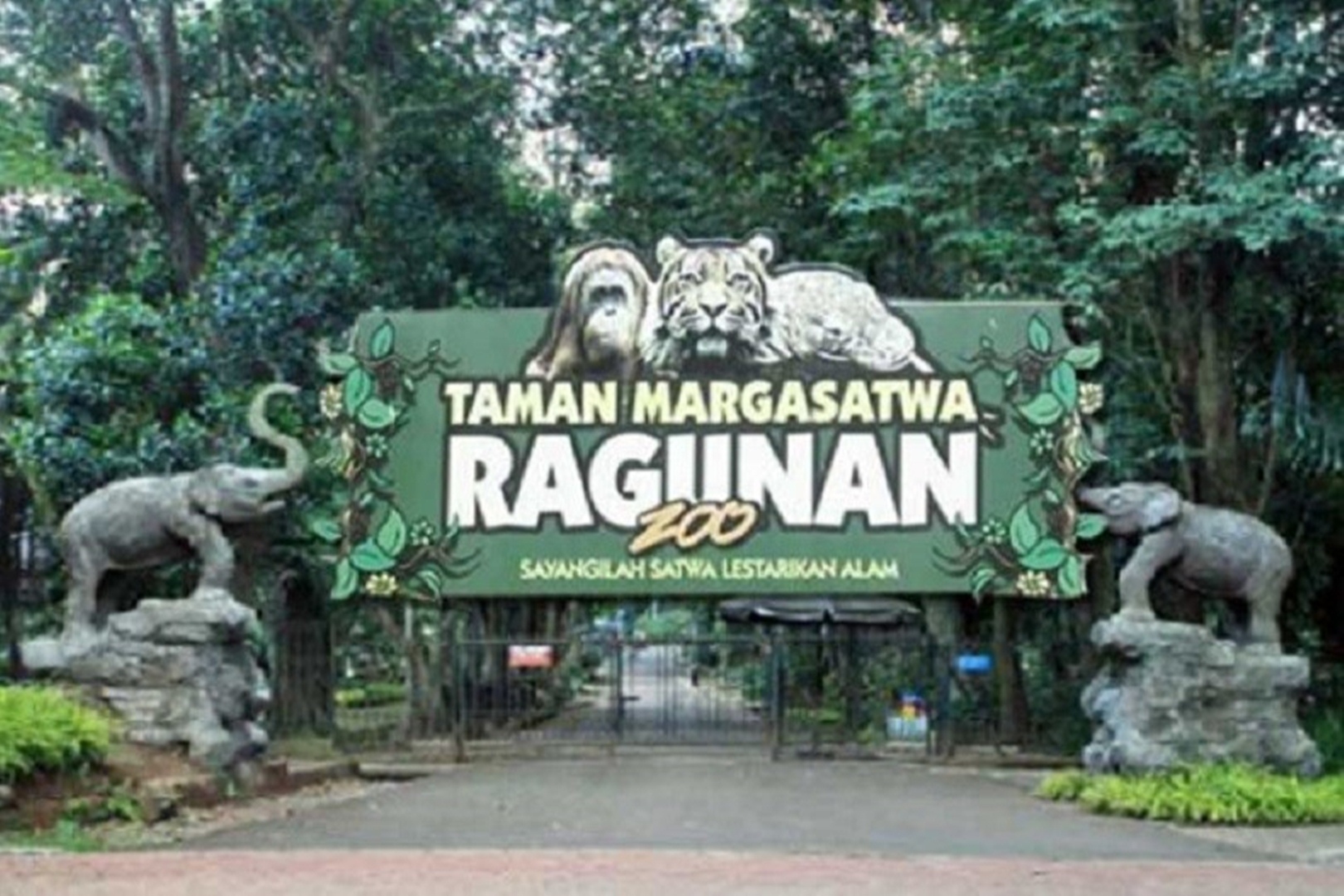 Liburnya Taman Margasatwa Ragunan, Hari Liburnya Para Satwa di Tahun baru