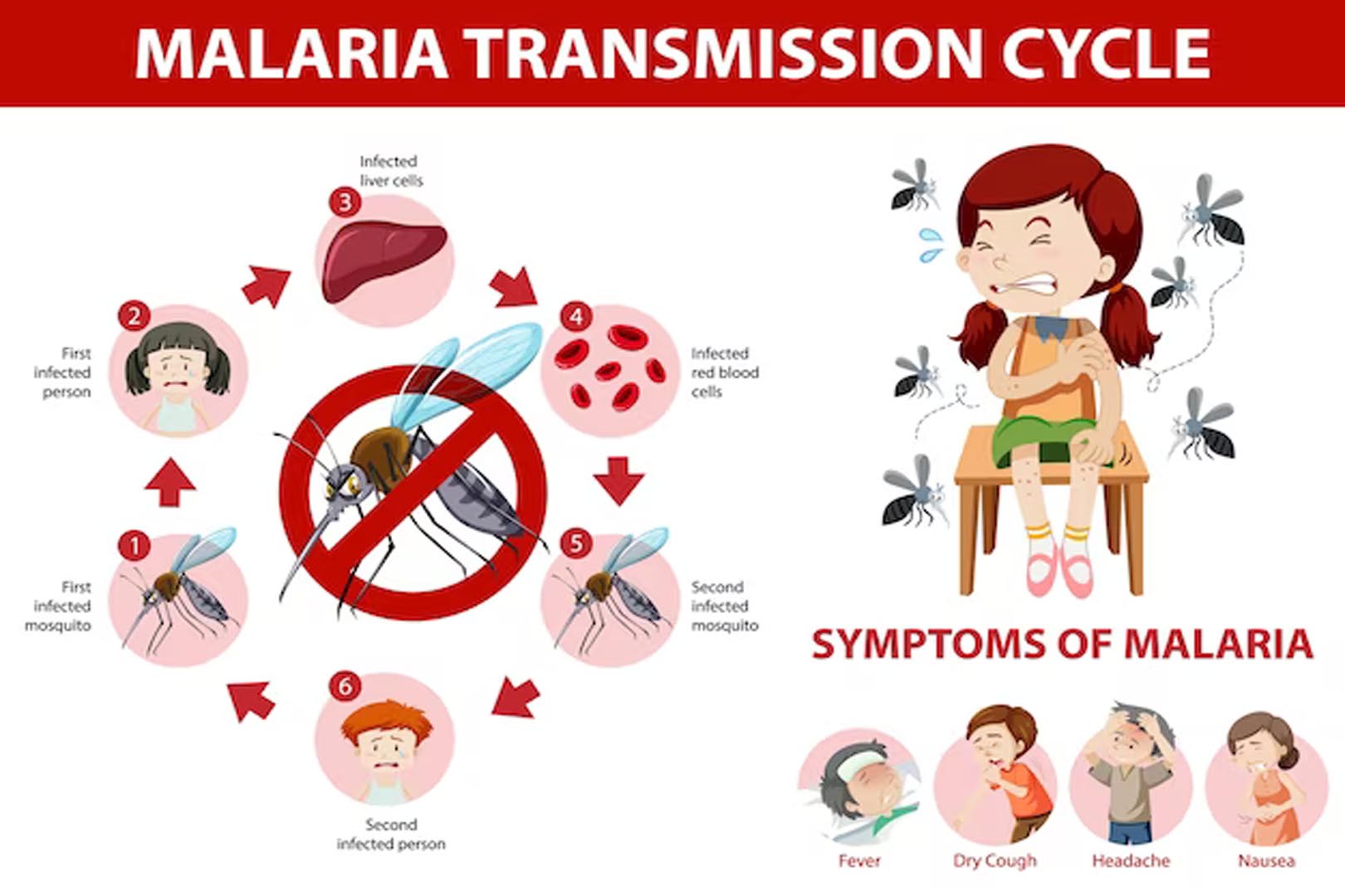 Malaria: Menggali Sejarah, Pencegahan, dan Pengobatan