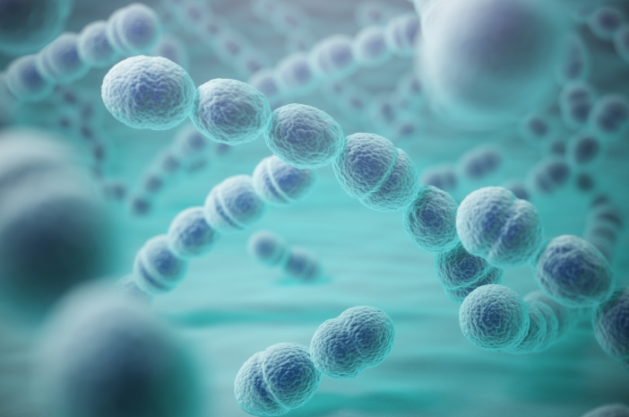 Ciri-Ciri dan Gejala Terinfeksi Bakteri Pemakan Daging Streptococcus, 48 Jam Terinfeksi Sebabkan Kematian!