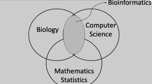 Bioinformatika Ilmu Terobosan Baru di Bidang Biologi 