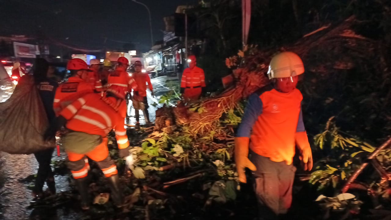 Pemuda Asal Dramaga Bogor Tewas Tertimpa Pohon saat Berteduh di Jalan KS Tubun