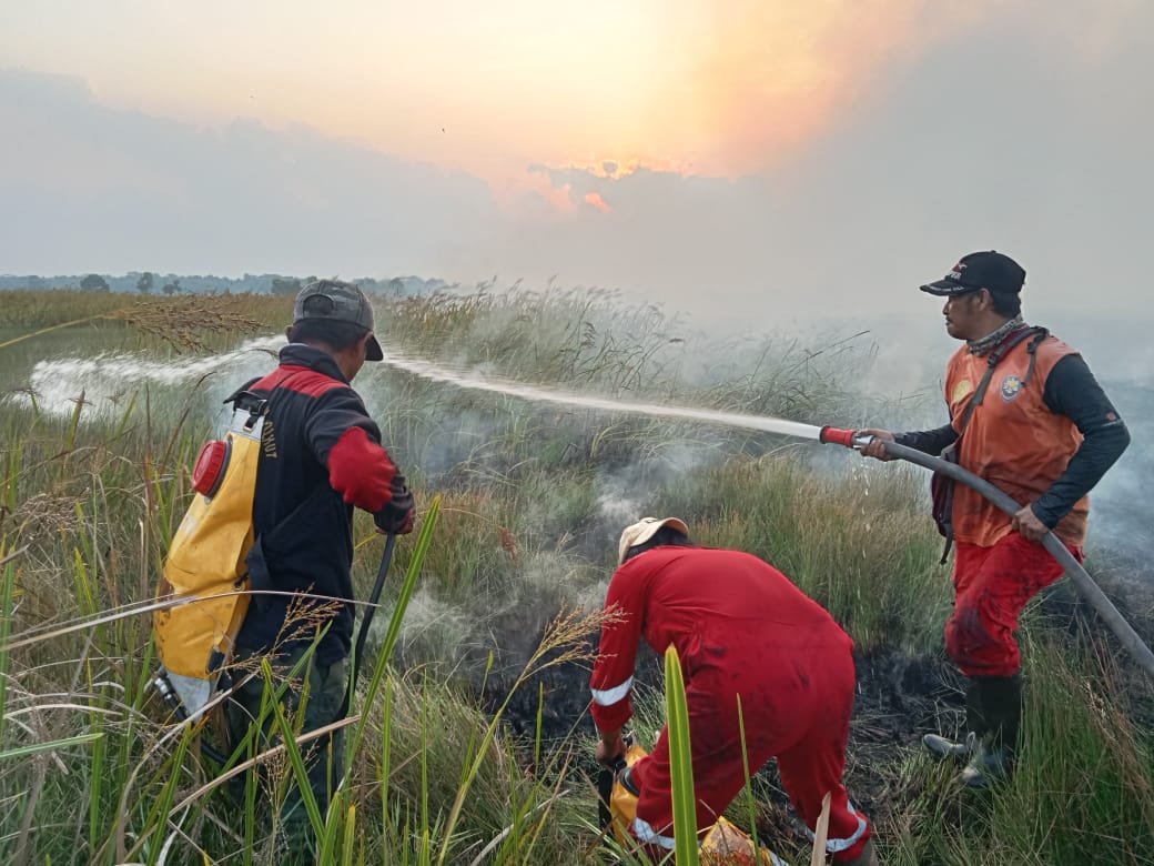 Ulah Pemburu Liar, Satwa Dilindungi Di Taman Nasional Way Kambas Kabupaten Lampung Timur Mati Terbakar