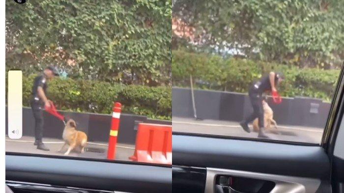 Rekaman Sekuriti Pukul Anjing Penjaga, Plaza Indonesia Akhiri Kerja Sama dengan Vendor