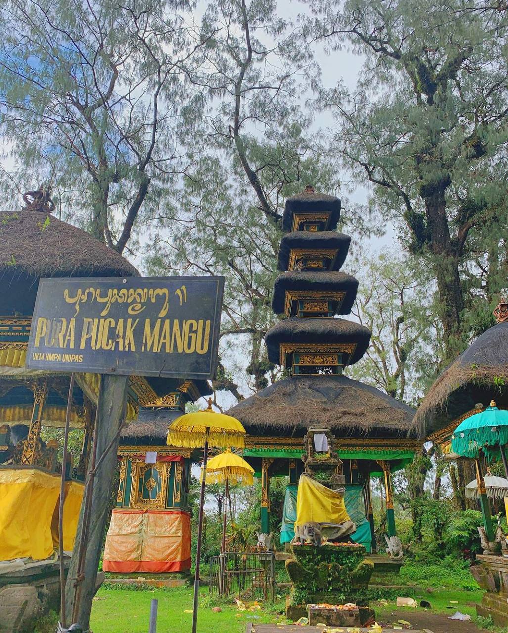 Intip Keindahan Pesona Alam dan Fakta Menarik Lainnya Dari Puncak Mangu Kaldera Gunung Catur, Badung Bali