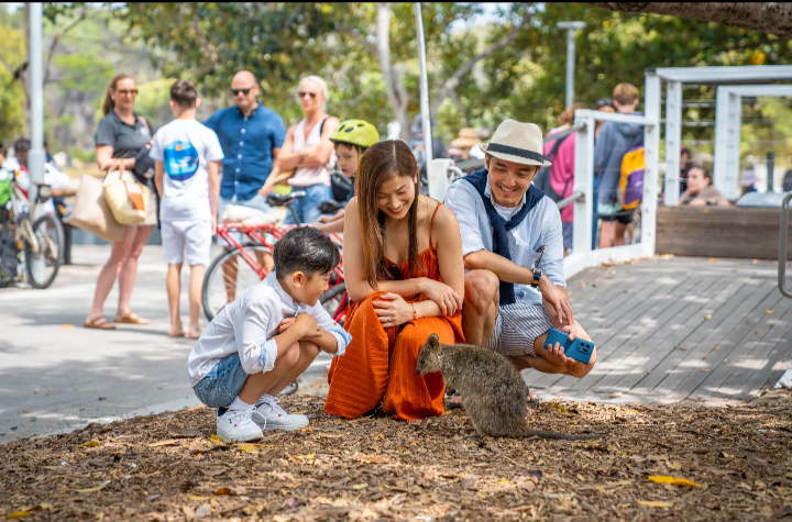 Liburan ke Rottnest Island Australia Hanya Rp800 ribu, Manfaatkan Promonya!