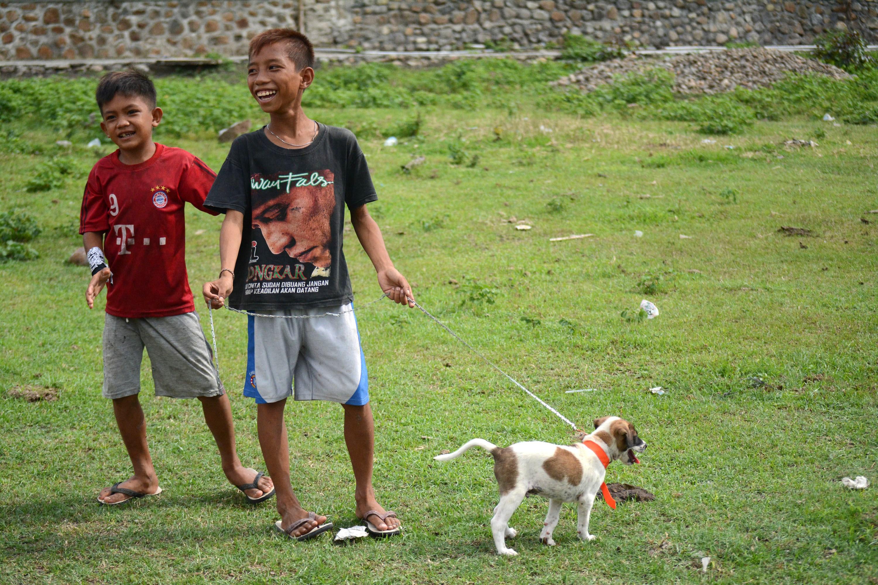 WHO Sebut 71 Orang Indonesia Meninggal Gegara Rabies Sepanjang 2024, NTT Terbanyak