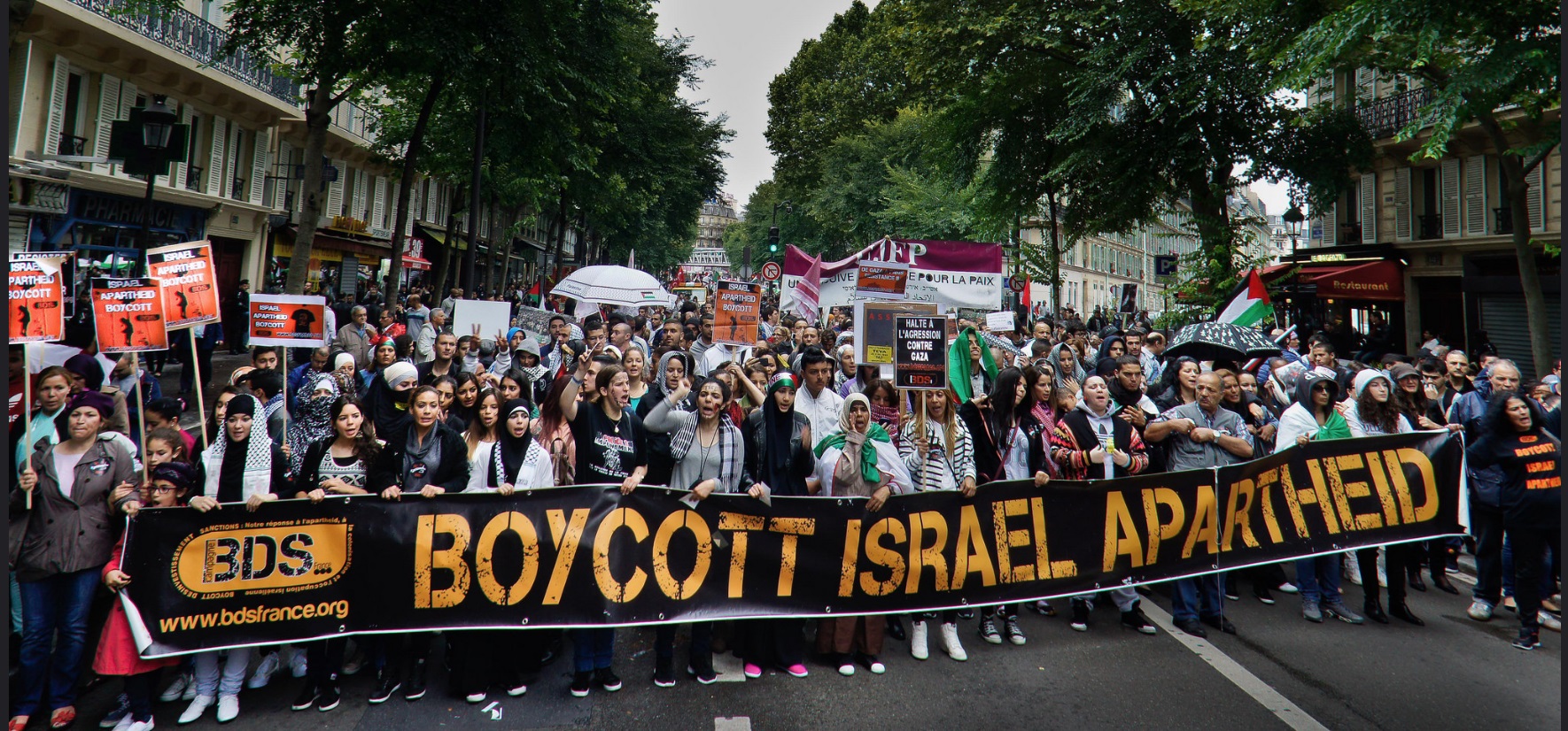 BDS Movement, Memahami Gerakan Global Boikot Perusahaan Pro-Israel sebagai Dukungan Terhadap Palestina