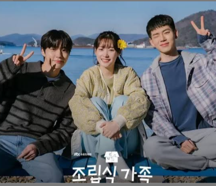 Sinopsis Drama Family by Choice Hasil Adaptasi Drama Cina Go Ahead