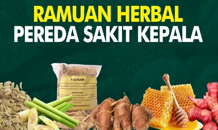 Lelah Dengan Sakit Kepala, Migrain dan Vertigo? Coba Obati dengan Herbal Ini