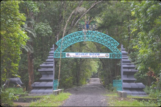 Sejarah Dan Mitos Yang Ada Di Taman Nasional Alas Purwo 