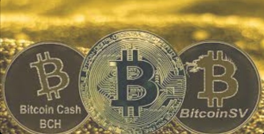 Prediksi Perkembangan Bitcoin Dan Turunannya  Yang Akan Dimulai Pada 2024