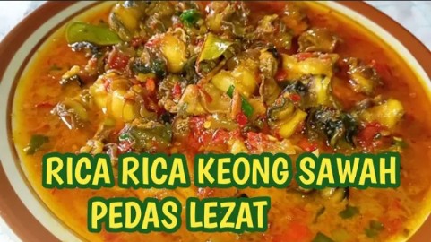 Resep Rica-rica Keong Sawah Rumahan Enak dengan Sensasi Pedas Gurih, Bikin Lahap Makan!