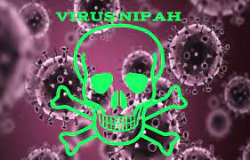 Bahaya Virus Nipah! Inilah Pencegahan Yang Perlu Kita Antisipasi 