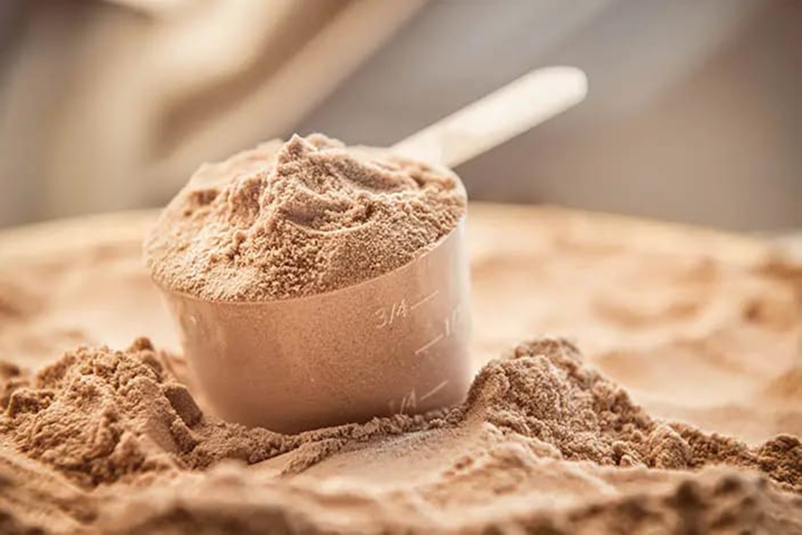 8 Jenis Susu Protein Tinggi untuk Orang Dewasa yang Harus Kamu Tau !