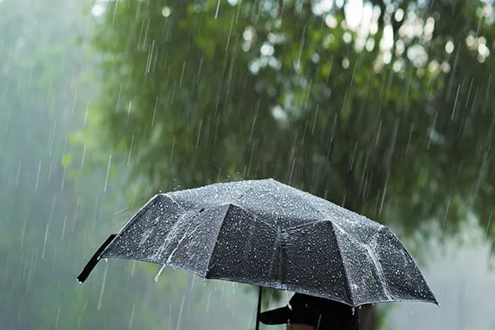 10 Tips Menjaga Kesehatan Tubuh Menghadapi Musim Hujan