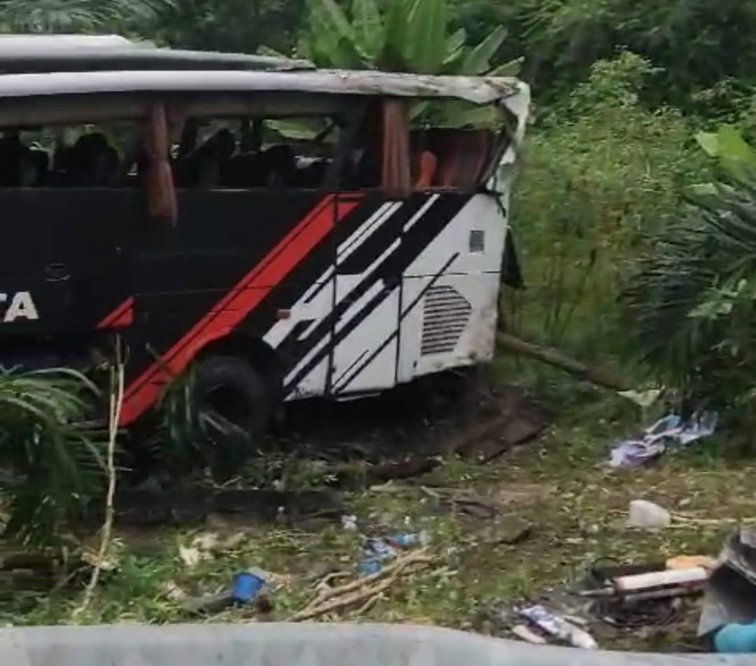 Terjadi Lagi! Rombongan Bus Study Tour MIN 1 Pesisir Barat Lampung Masuk Jurang, Penyebab Belum Lengkap