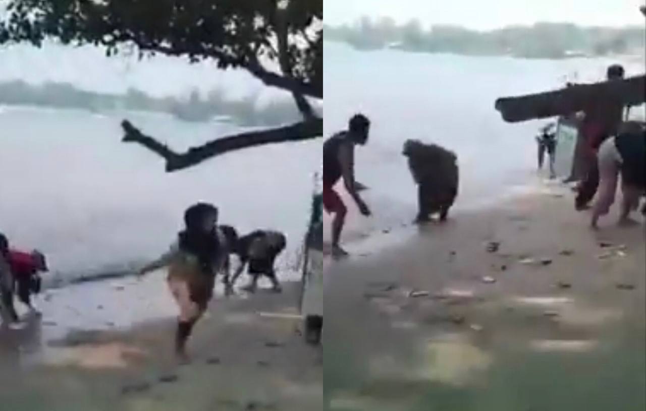 Viral! Ribuan Ikan Naik ke Daratan di Pantai Carita Pandeglang-Banten 