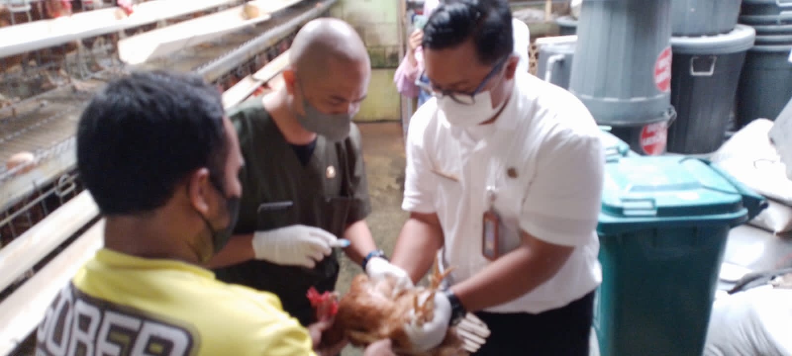 43000 Unggas Masuk Kota Bandung Diklaim Aman Flu Burung