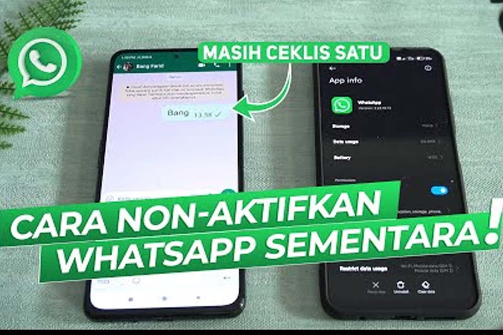 Yuk Simak! Cara Menonaktifkan WA Sementara Tanpa Nonaktifkan Data