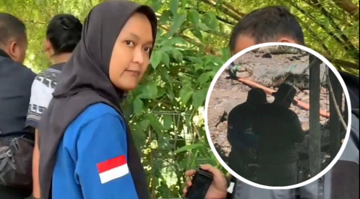 Diluar Dugaan, Belasan Buaya di Cianjur Dipindahkan ke Palembang Namun saat Diliput Malah Minta Dihapus