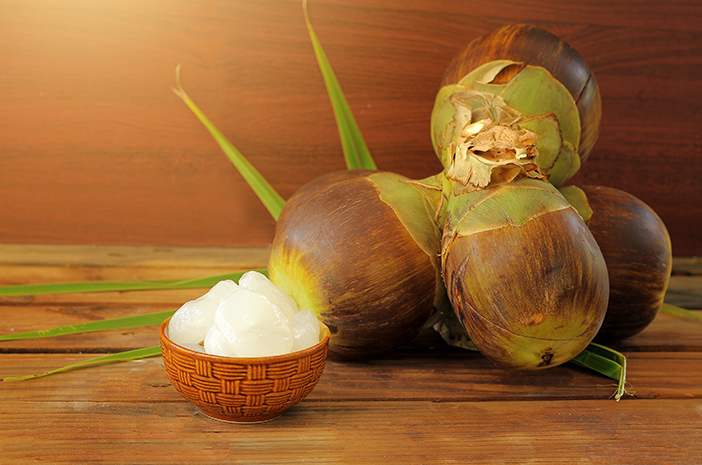 10 Kandungan Zat Penting Dalam Buah Lontar