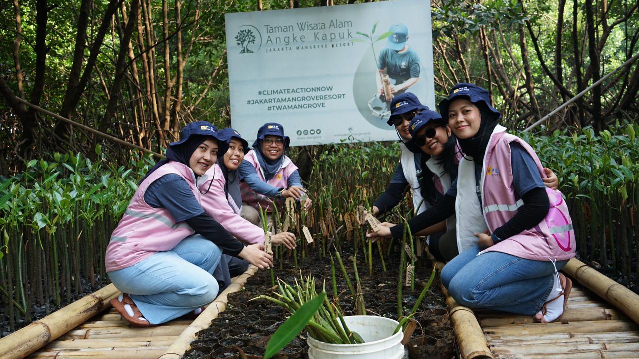 Pelestarian Lingkungan, PLN Icon Plus Tanam Ratusan Mangrove di Jakarta